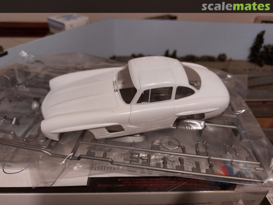 View album, image #1