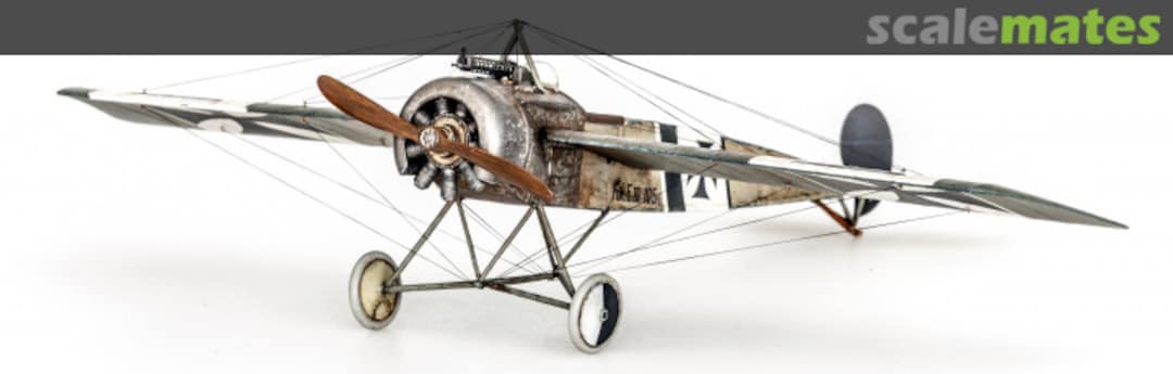 View album, image #1 View album, image #1