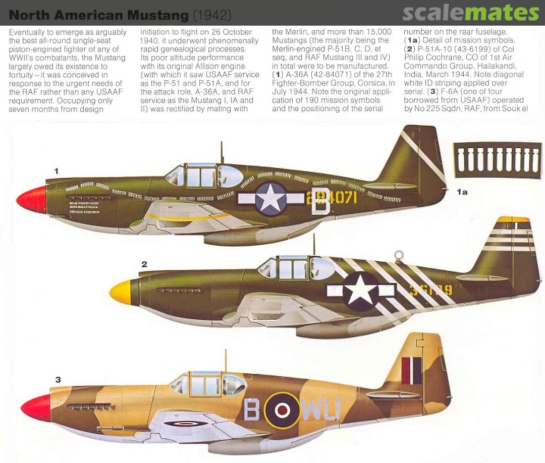 View album, image #1