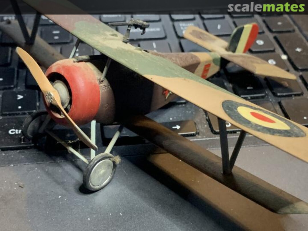 View album, image #1