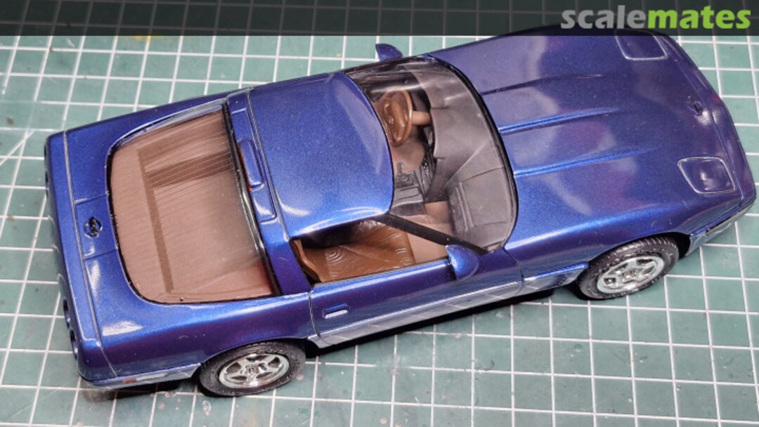 View album, image #31 View album, image #31