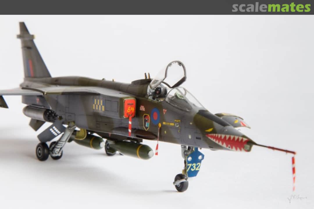 View album, image #6 View album, image #6