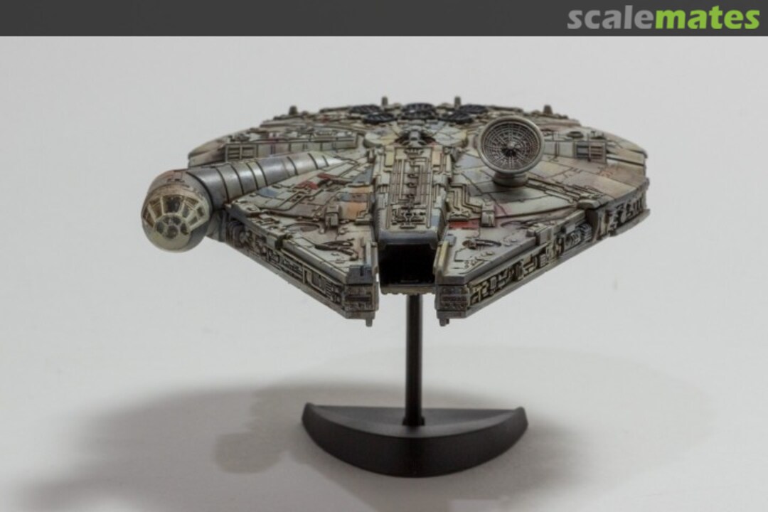 View album, image #1 View album, image #1