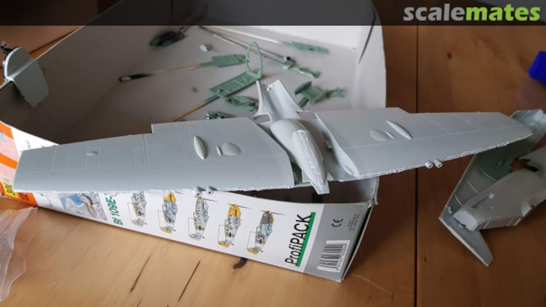 View album, image #1 View album, image #1