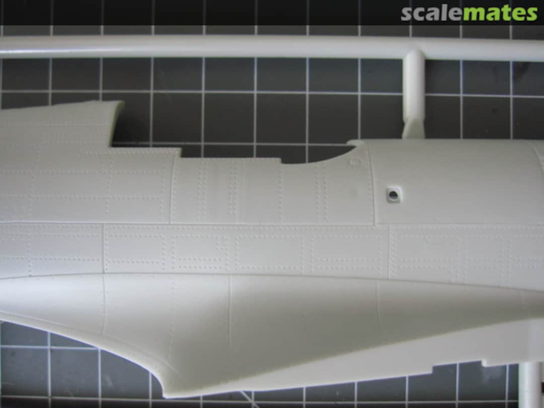 View album, image #1 View album, image #1