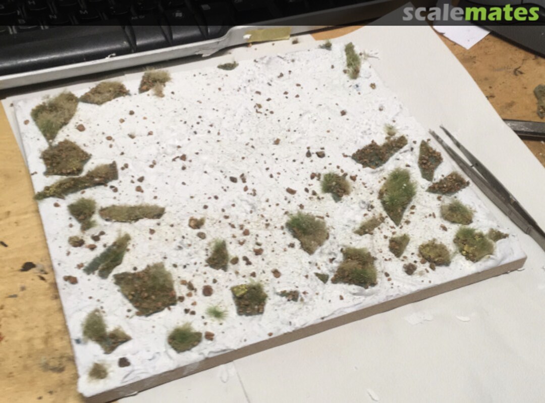 View album, image #1