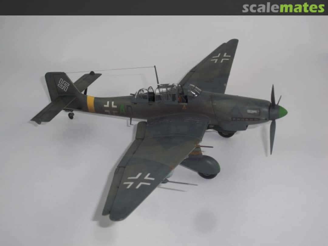 View album, image #20 View album, image #20