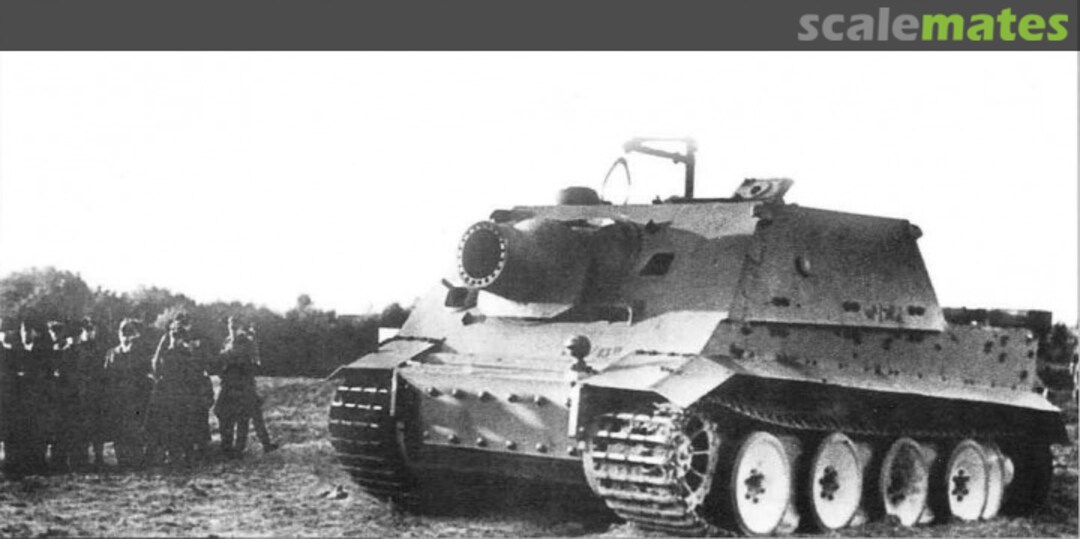 View album, image #1 View album, image #1