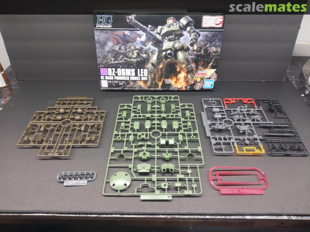 View album, image #1 View album, image #1