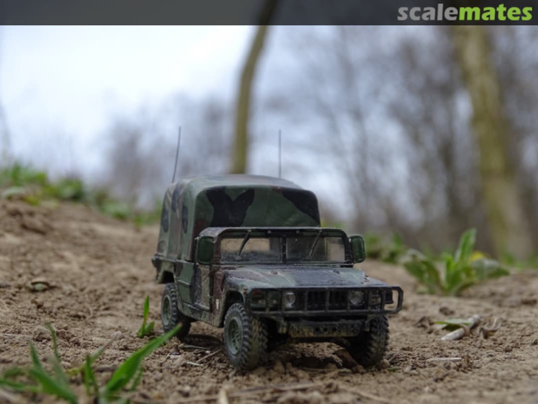 View album, image #1