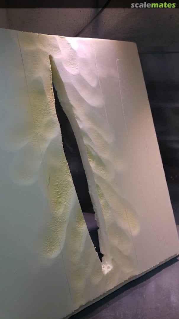 View album, image #1 View album, image #1