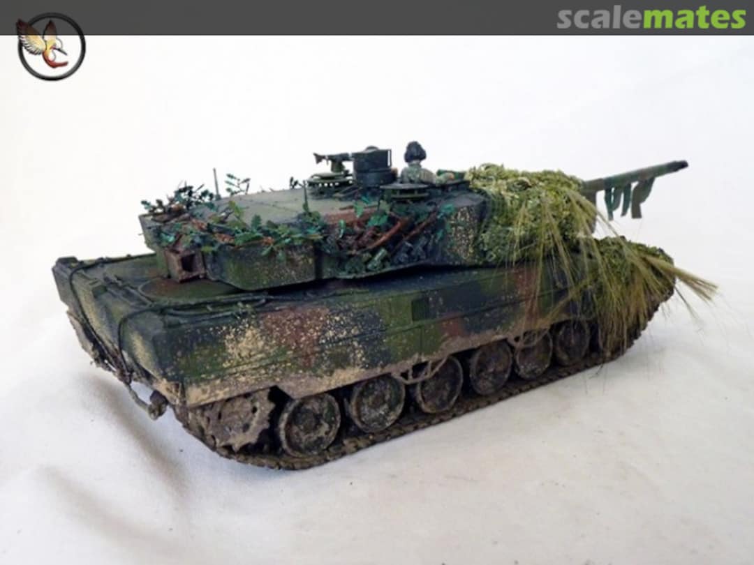 View album, image #1