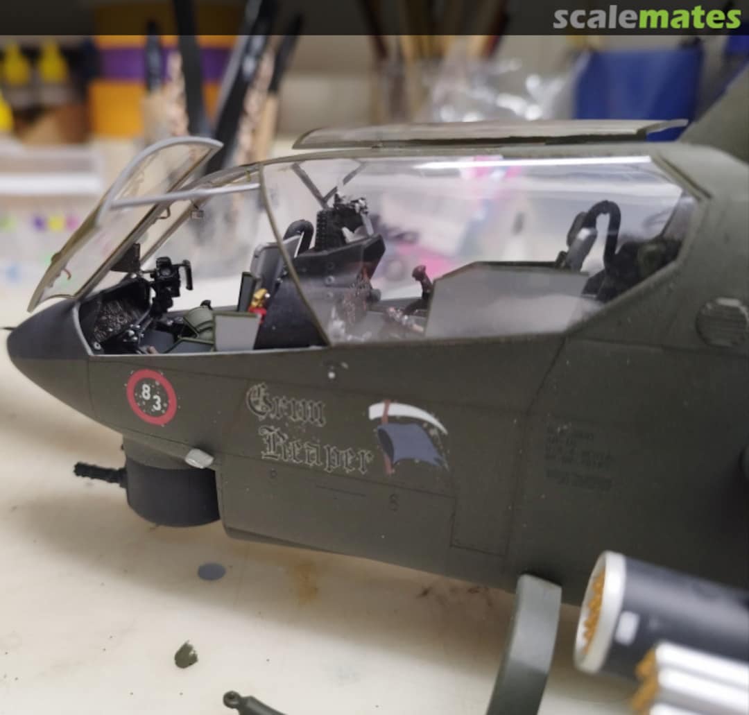 View album, image #1 View album, image #1