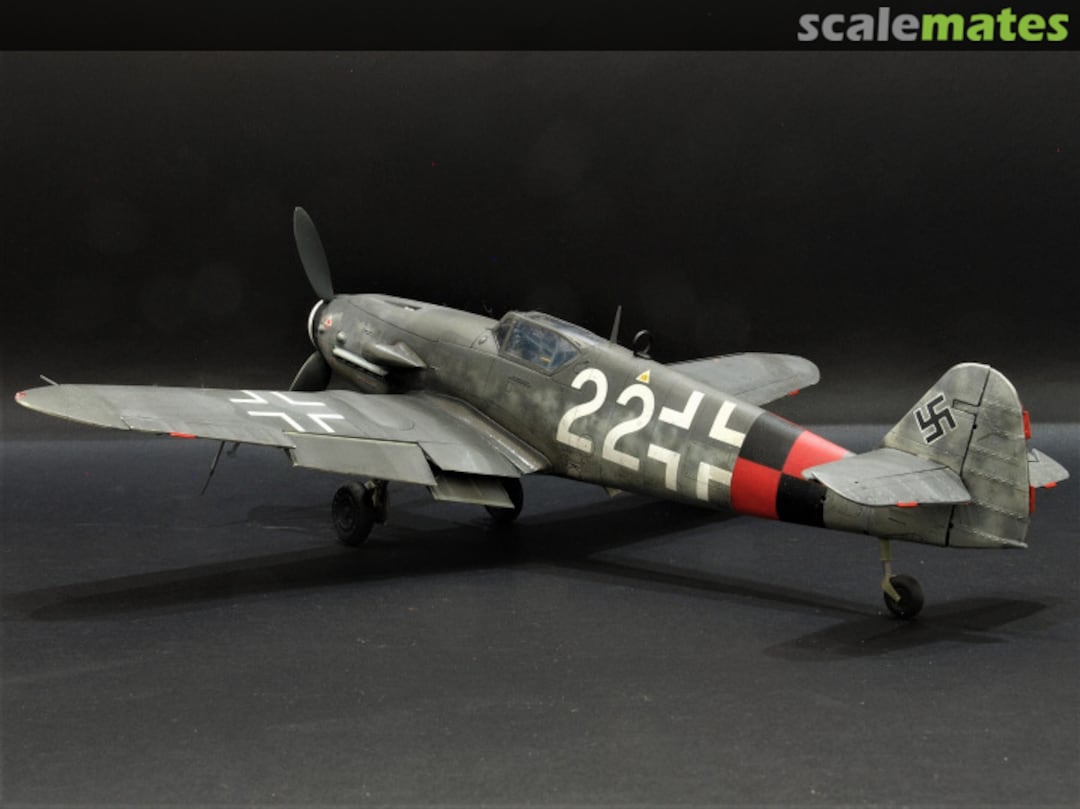 View album, image #1 View album, image #1