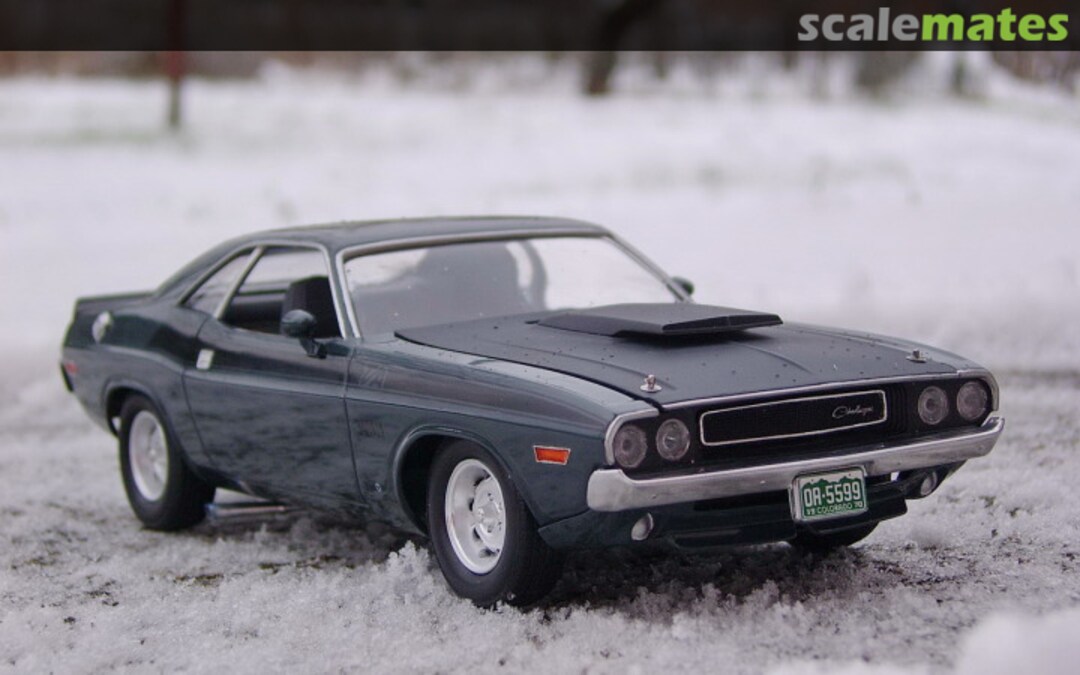 View album, image #1