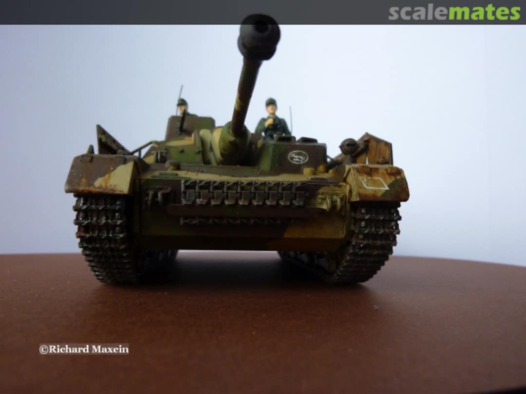 View album, image #12 View album, image #12