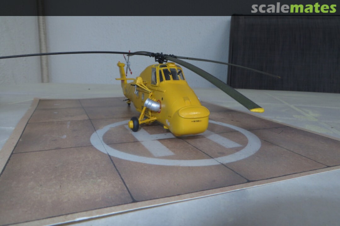 View album, image #1 View album, image #1