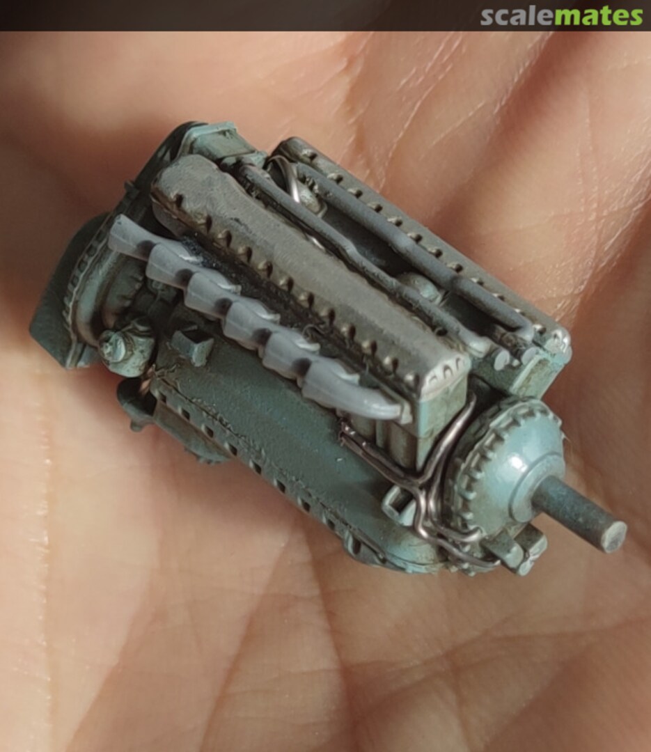 View album, image #2 View album, image #2