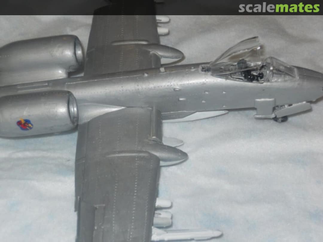 View album, image #1