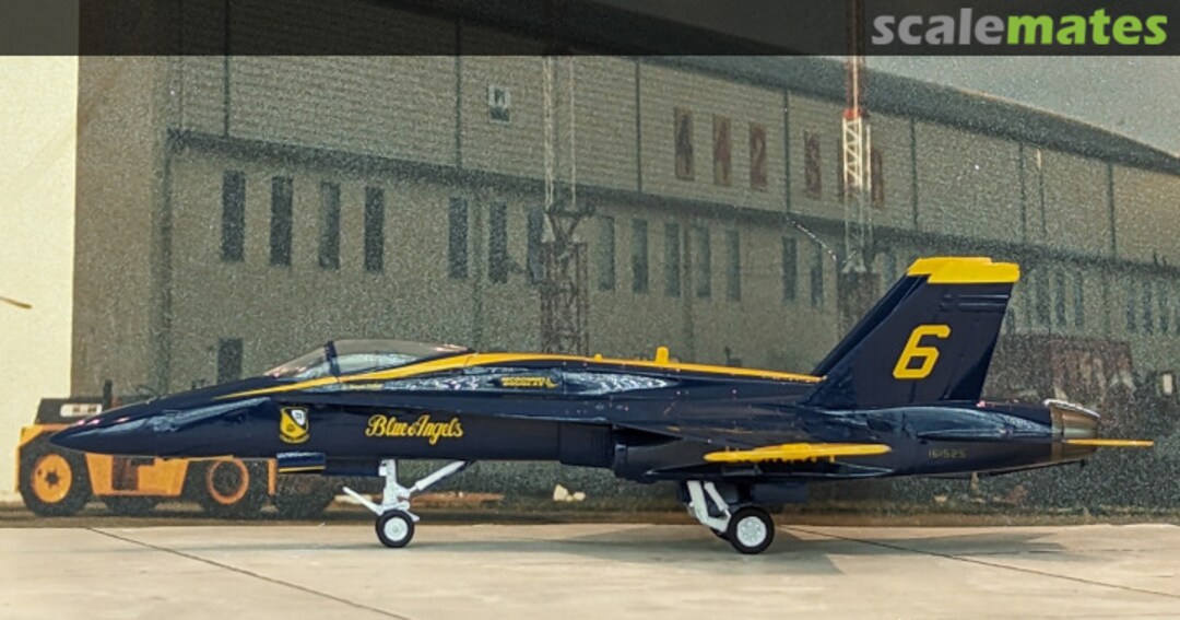 View album, image #1 View album, image #1