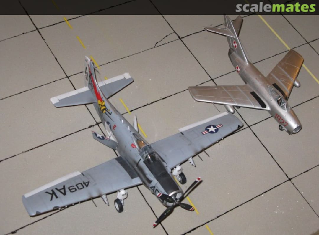 View album, image #1 View album, image #1