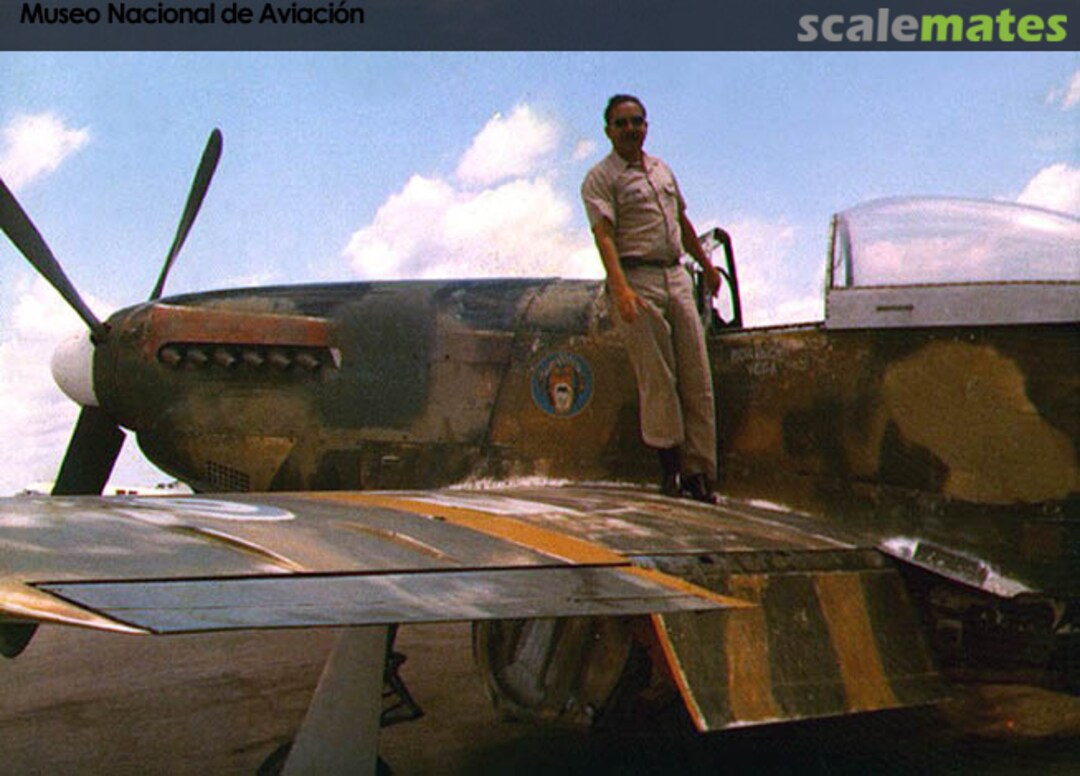 View album, image #61 View album, image #61