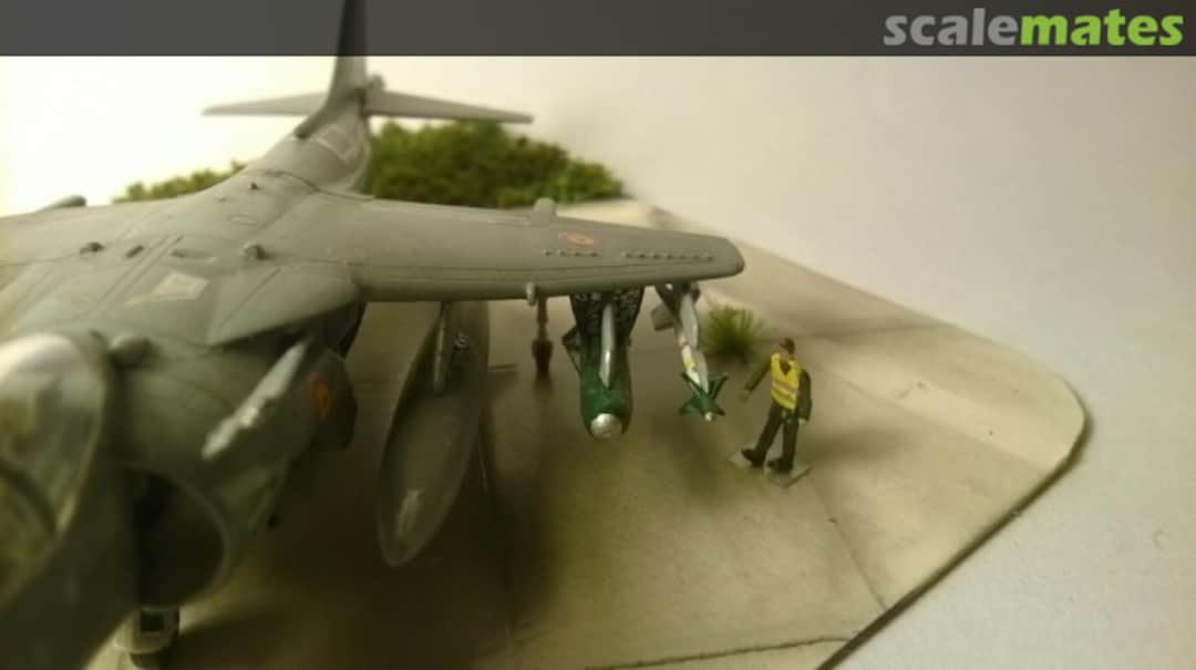 View album, image #13 View album, image #13