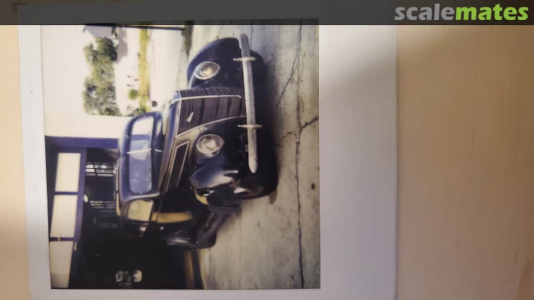 View album, image #1 View album, image #1