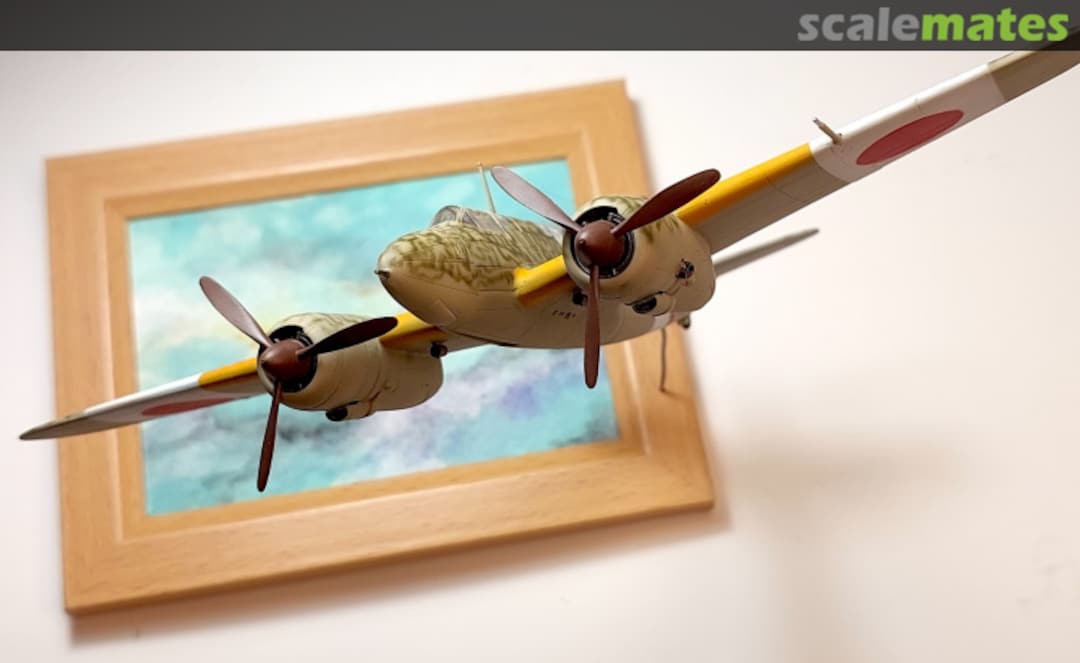 View album, image #13 View album, image #13