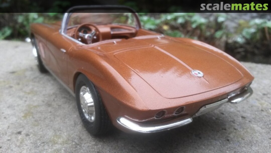 View album, image #3 View album, image #3