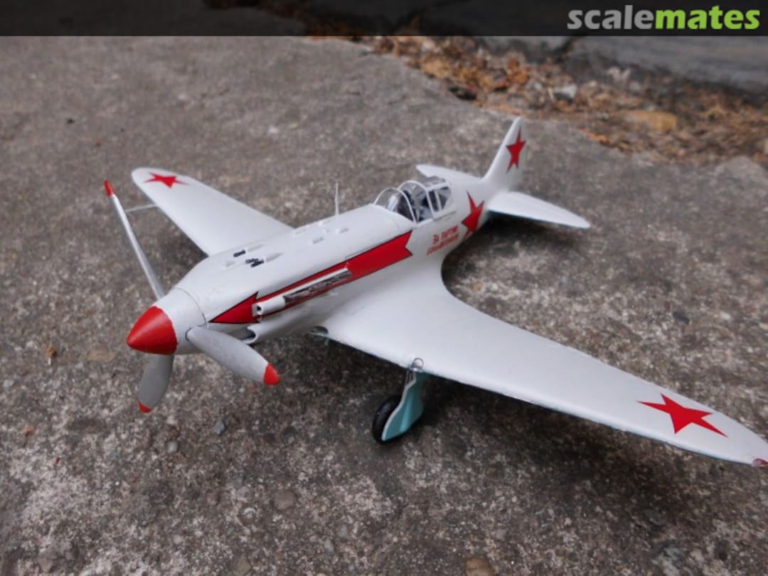 View album, image #5 View album, image #5