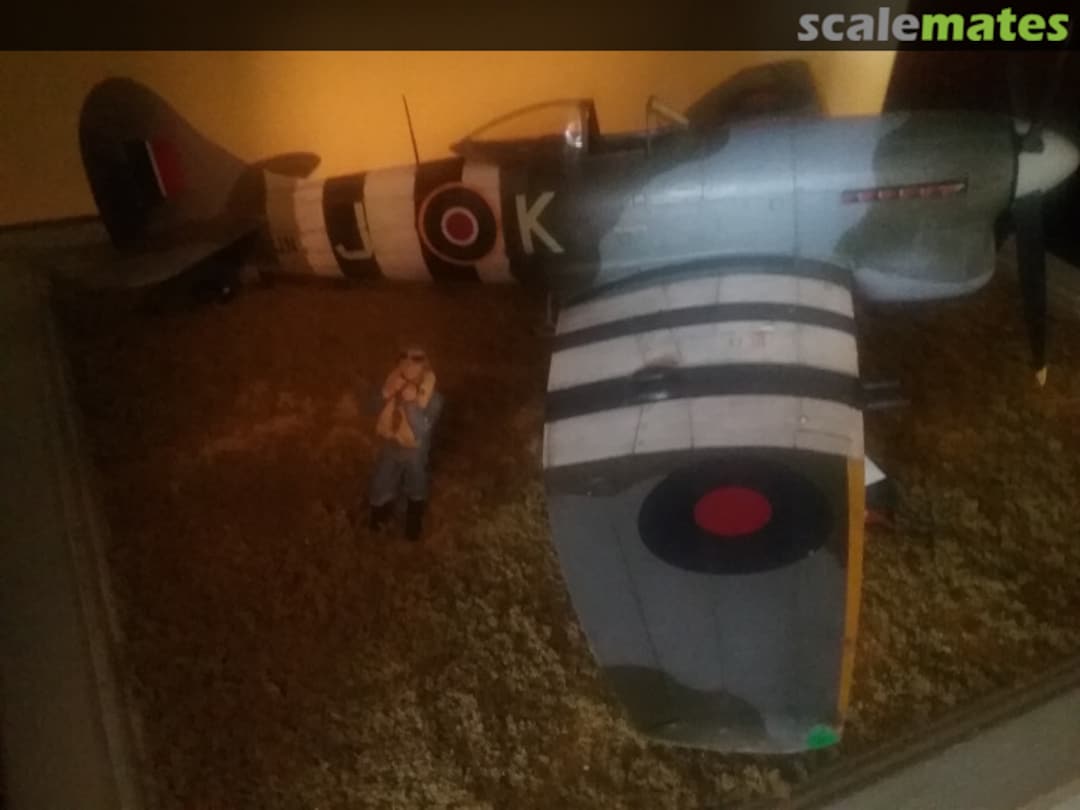 View album, image #1 View album, image #1