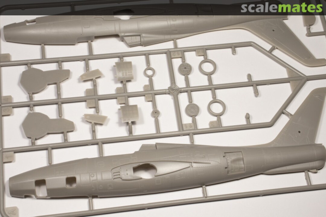 View album, image #1 View album, image #1