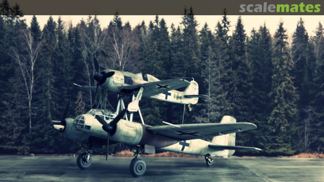 View album, image #12 View album, image #12