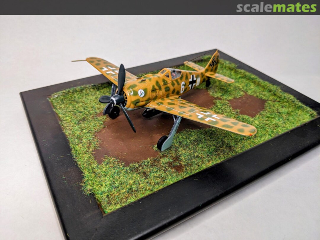 View album, image #12 View album, image #12