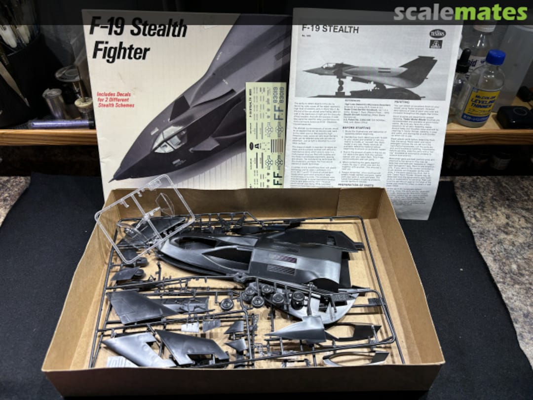 View album, image #3 View album, image #3