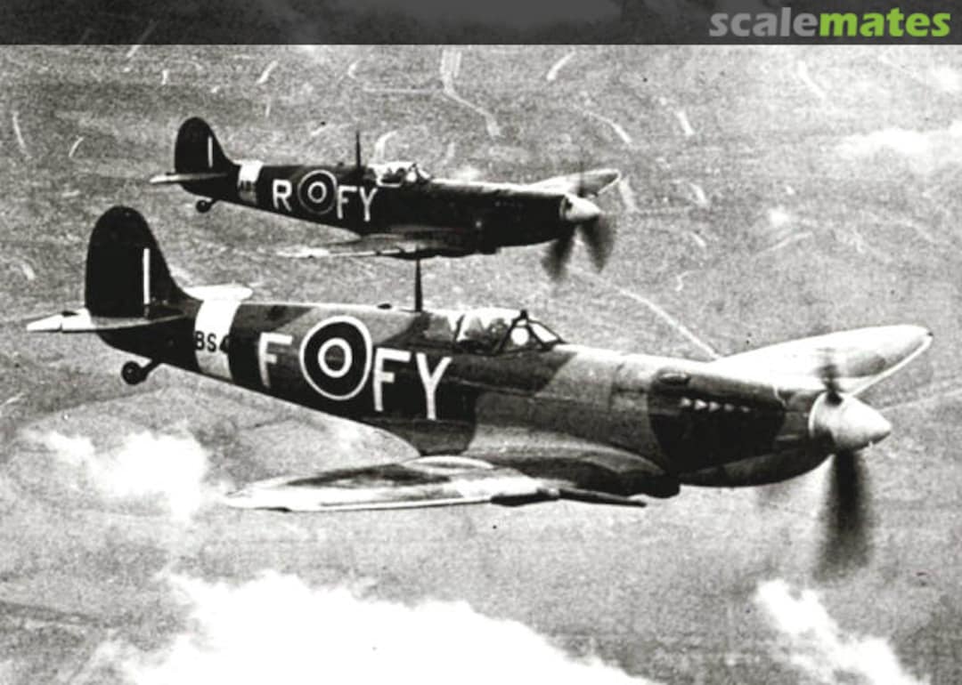 View album, image #1