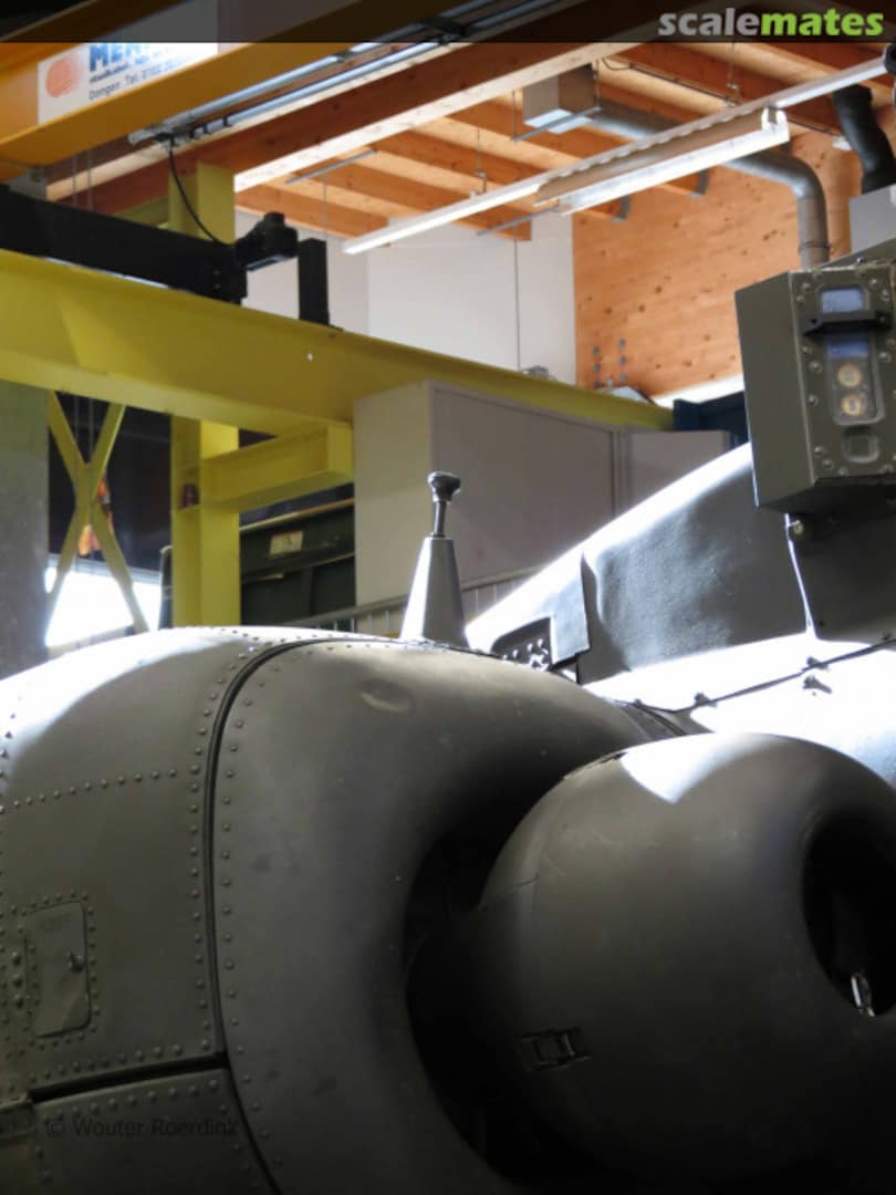 View album, image #1 View album, image #1