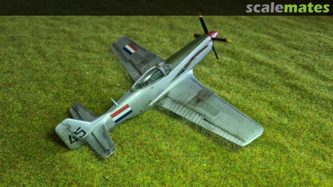 View album, image #26 View album, image #26