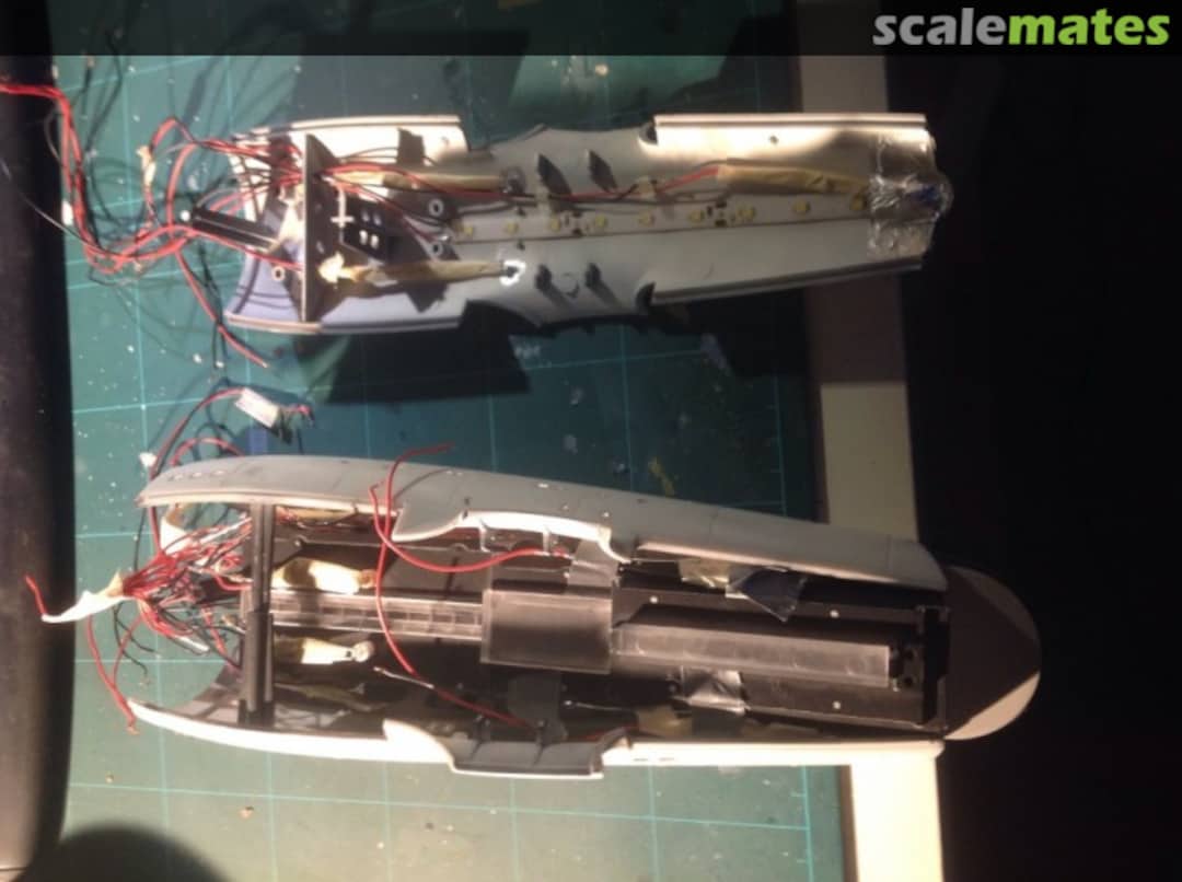 View album, image #1 View album, image #1