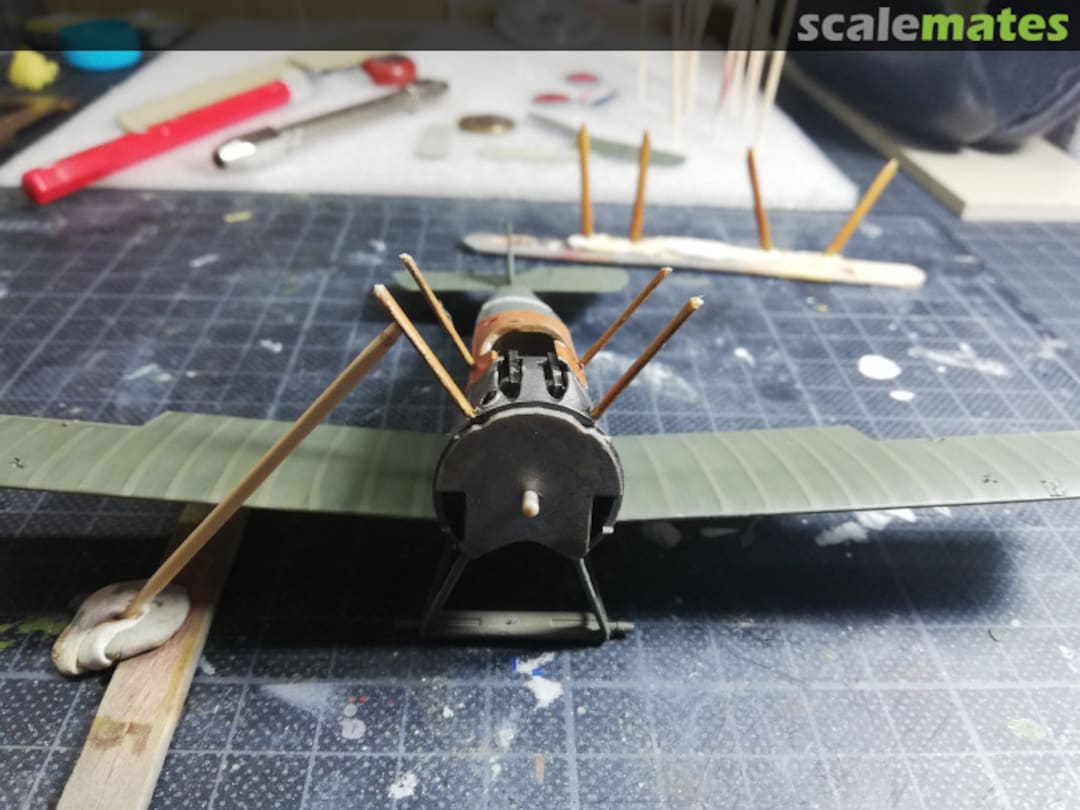 View album, image #17