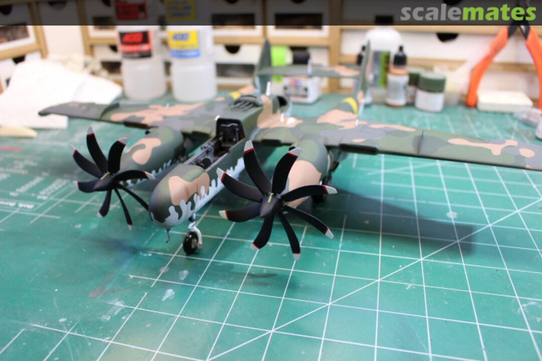 View album, image #1 View album, image #1