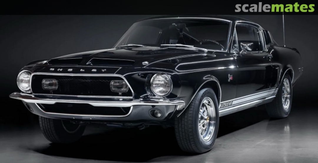 View album, image #1