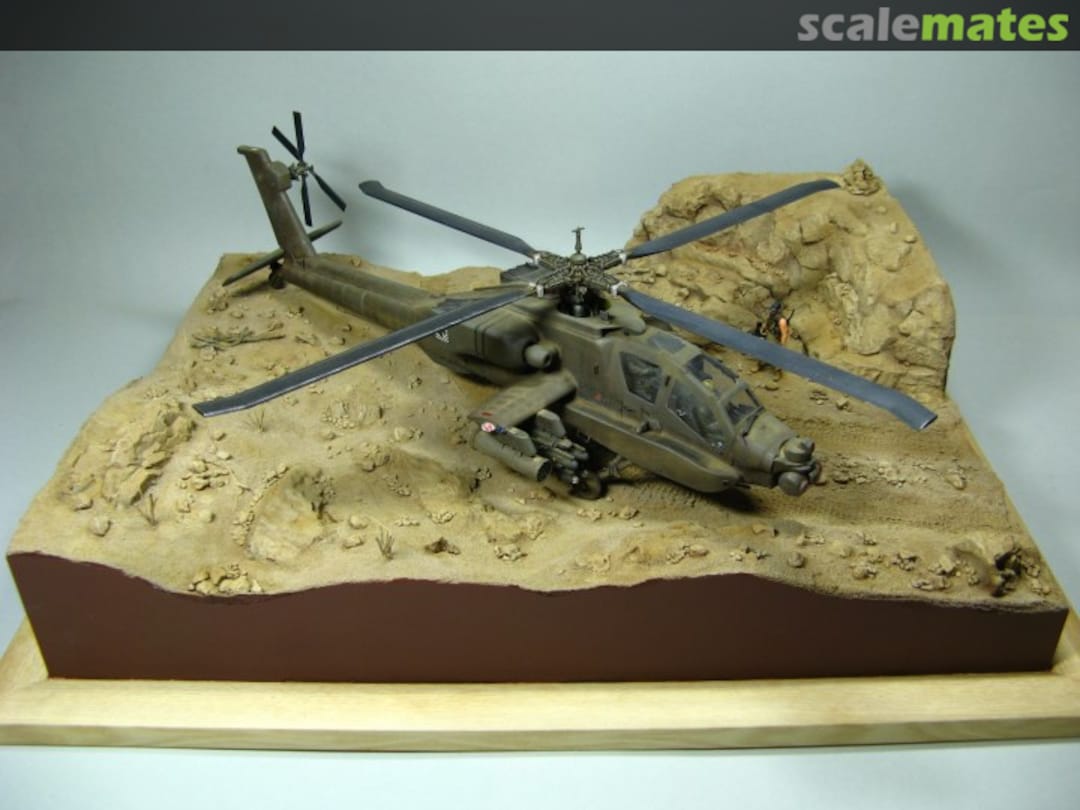 View album, image #1 View album, image #1