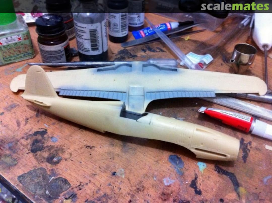 View album, image #1 View album, image #1