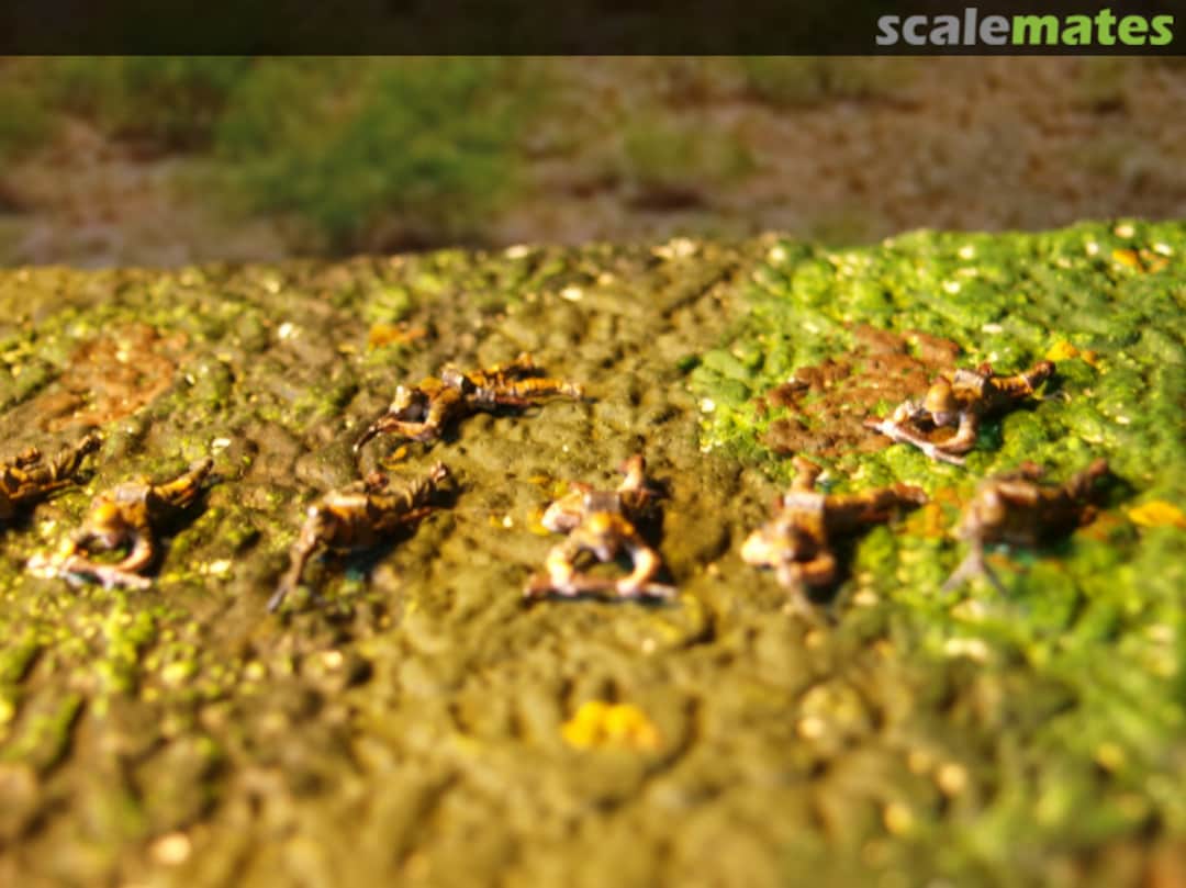 View album, image #1