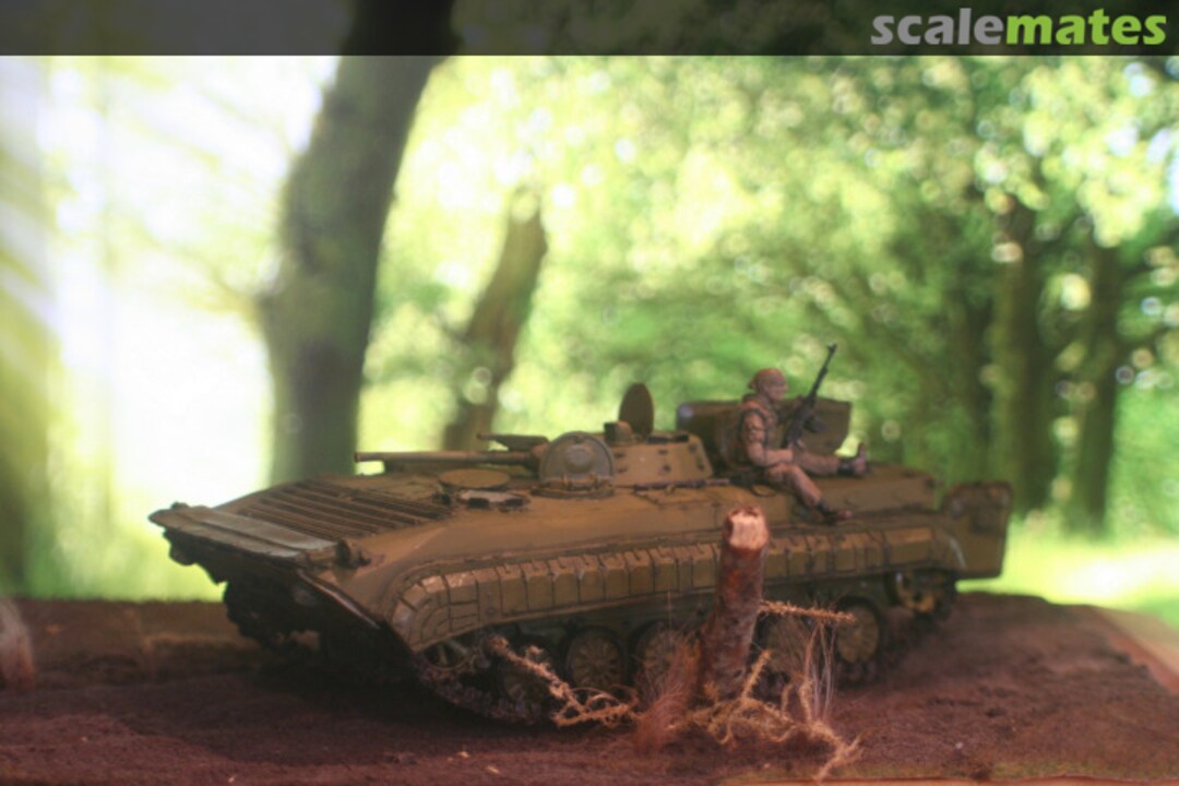 View album, image #53 View album, image #53