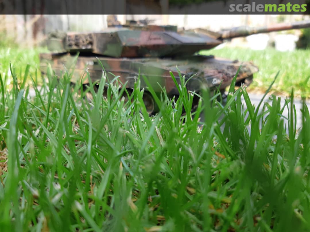 View album, image #1