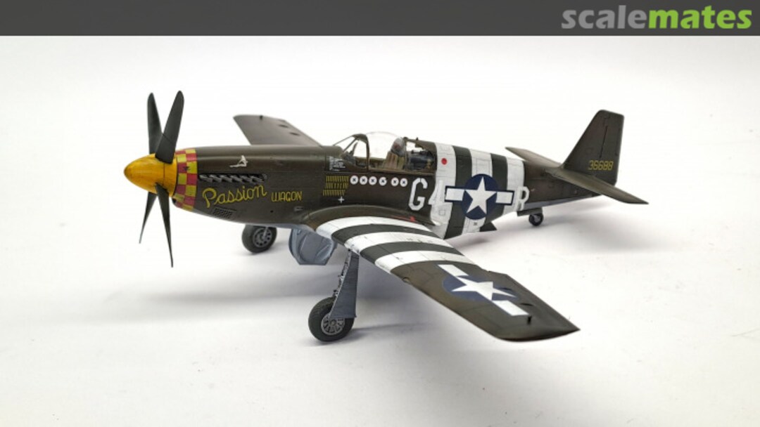 View album, image #1 View album, image #1