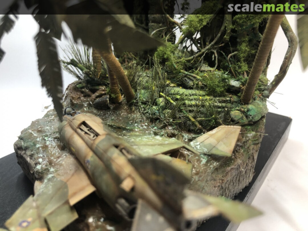 View album, image #34 View album, image #34